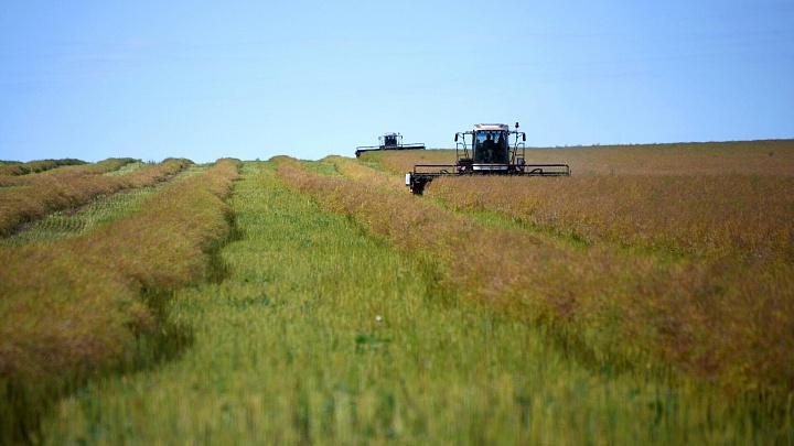 Глава ЦСР назвал лидеров роста и падения в российской экономике